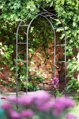 Tom Chambers Classic Metal Garden Arch Rose Archway Black
