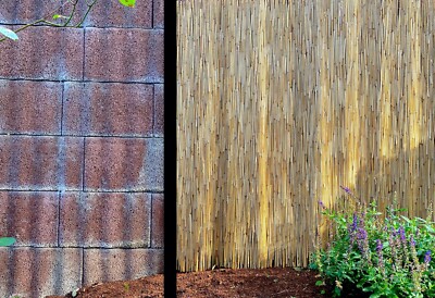 Schilfrohr Sichtschutz Matte – Wetterfest, Für Balkon, Terrasse & Garten, In Verschiedenen Höhen (50–160 Cm), Natürliche Optik