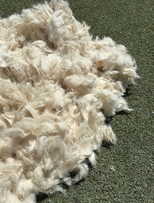 Natural Fiber Raw Wool WASHED Stuffing Insulation Filling Felting