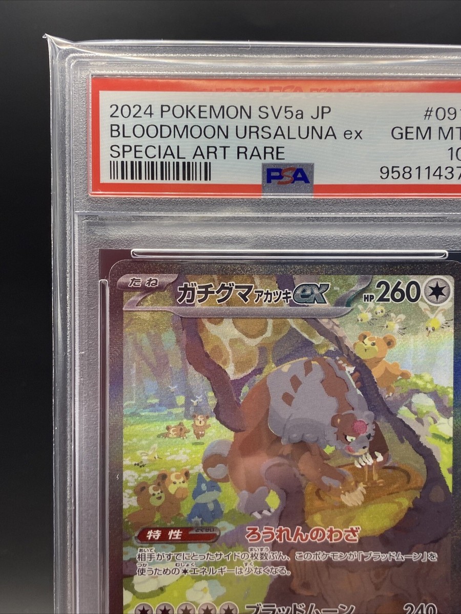 PSA 10 Bloodmoon Ursaluna ex SAR Pokemon Card Japanese 091 PSA 10 Bloodmoon Ursaluna ex SAR Pokemon Card Japanese 091