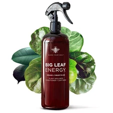 Big Leaf Energy (16 FL OZ) Organic Neem Oil Spray for Plants + Essential Oils...