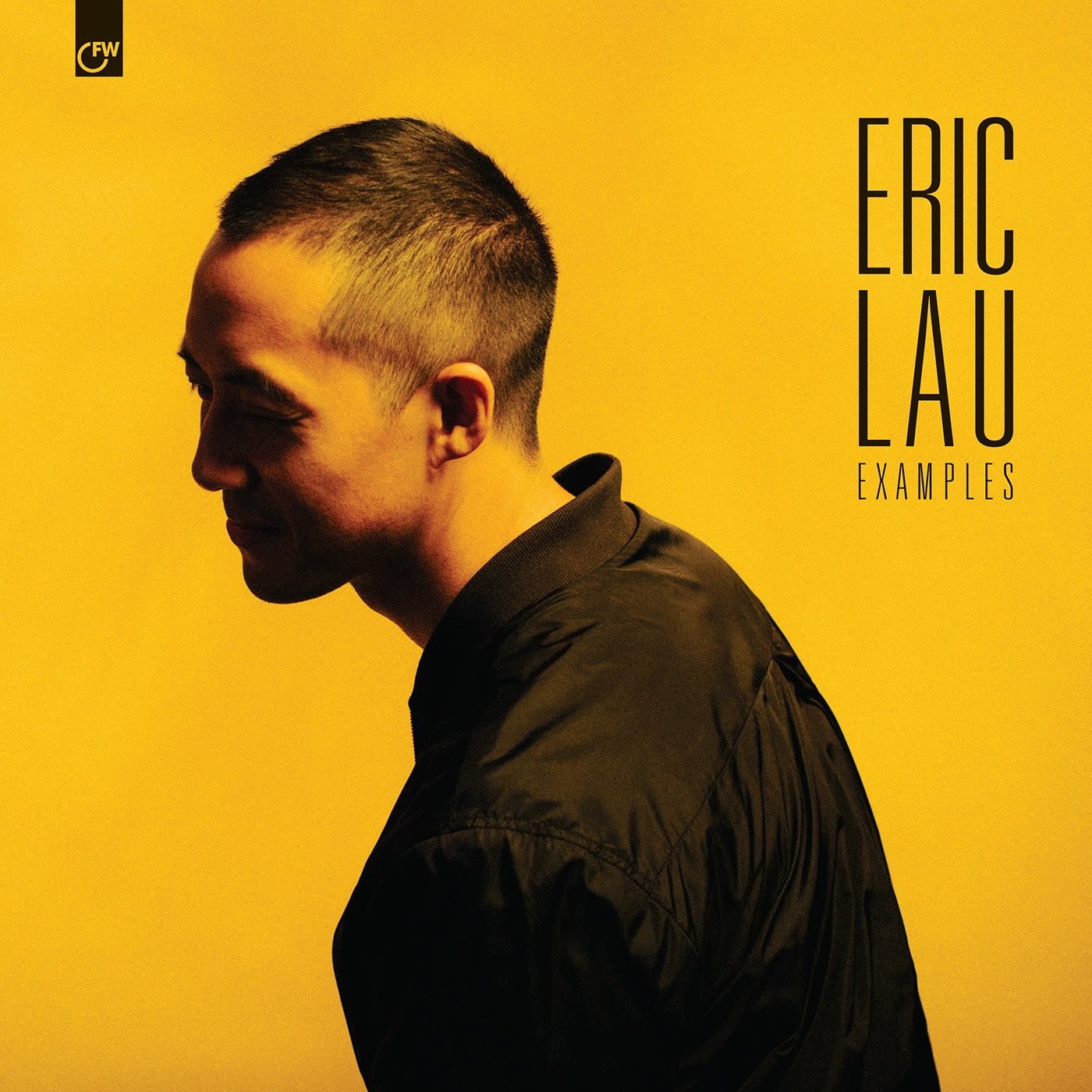 Eric Lau Examples LP Vinyl FW152 NEW