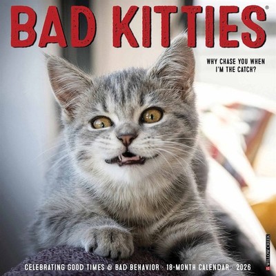 Bad Kitties Calendar 2026, Wall Calendars, Month To View, Cats, Gift