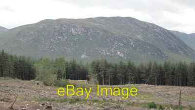Photo 6x4 Ruin and Bluestack Mountains Glendowan Clear felling of conifer c2012