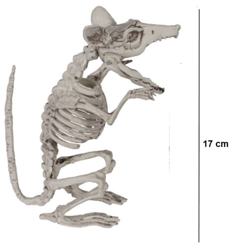 Ratten-Fossil Deko – Gruseliges Skelett Aus Kunststoff, Ca. 32 Cm, Perfekt Für Halloween & Horror-Partys