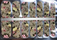 Color Nail Polish Strips 14ct. NL137 . READ DESCRIPTION BELOW