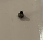 Foto 5 di 43
