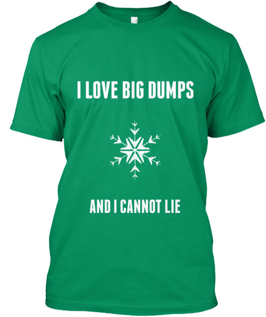 I love big dumps and I cannot lie T-Shirt Made in the USA Size S to 5XL