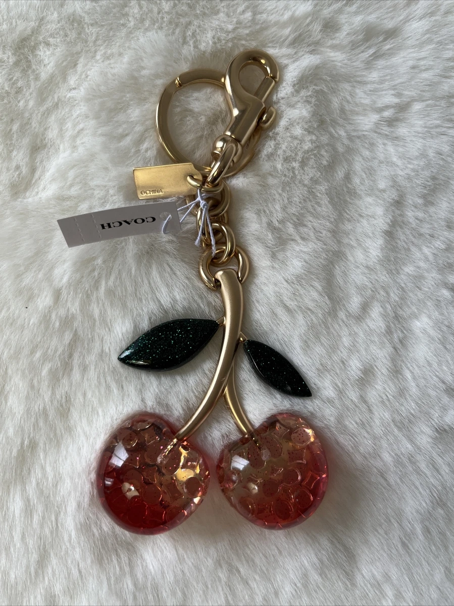 Coach hotsell keychain price
