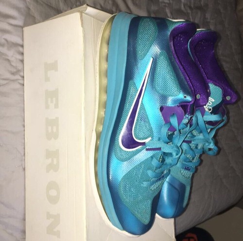 lebron 9 low hornets