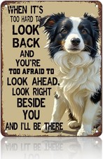 Border Collie Dog Tin Metal Signs 8x12 Border Collie When It'S Too Hard To Look