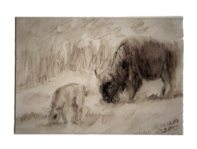 Mama Bison and Baby - Original Wash Drawing by Julie Miscera Matted 8x10''
