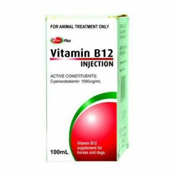 Value Plus Vitamin B12 for Horses and Dogs 100ml for sale online eBay