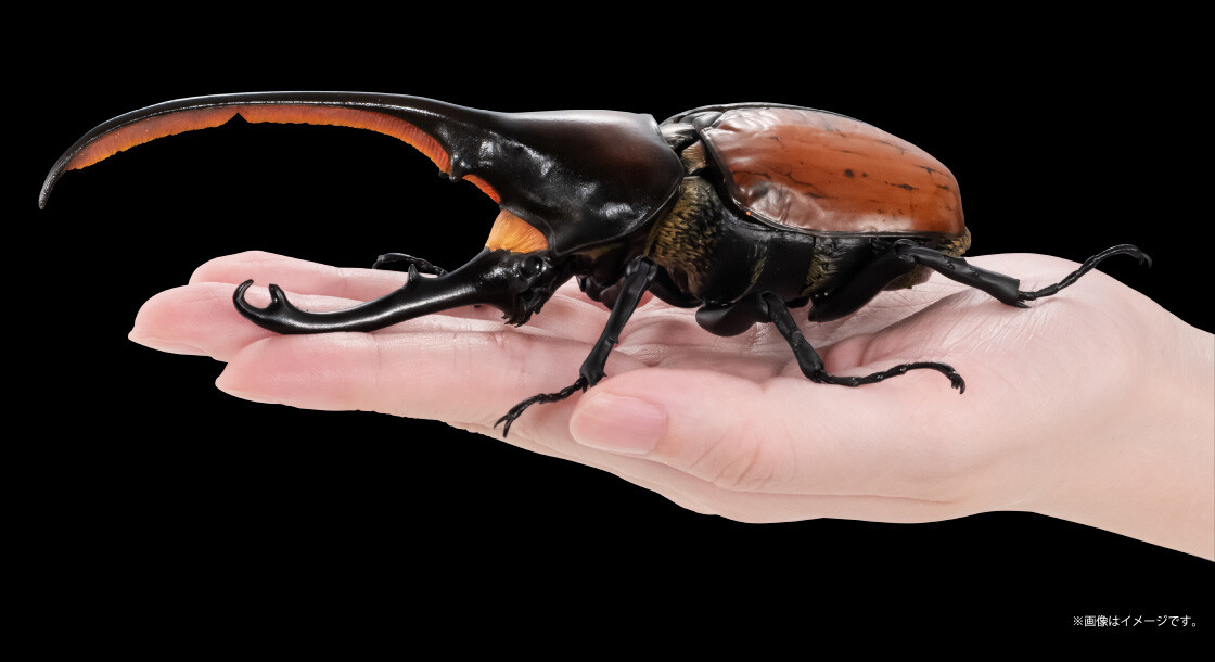 と*ん様 BANDAI PREMIUM Hercules Beetle その他お Bandai Premium Gashapon hercules beetle 3set complete set | eBay