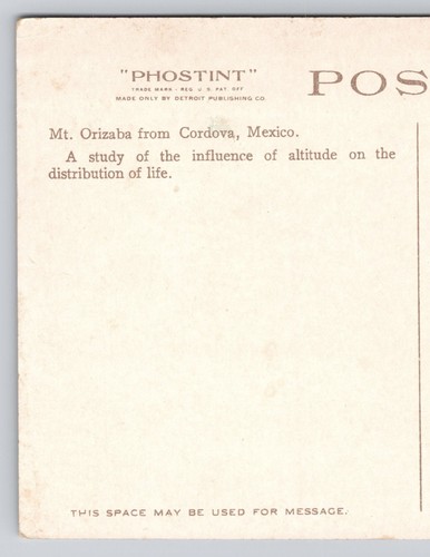 Vintage Postcard Mt Orizaba From Cordova Mexico American Museum Natural History - 第 5/13 張圖片