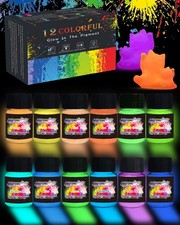 Luckymica Glow in The Dark Pigment Powder 12 Colors Mica Powder, 12