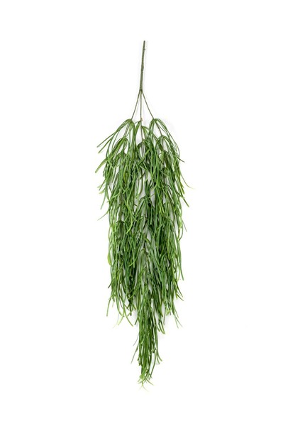 Artplants Rhipsalis HäNger KüNstlich Taliga Auf Steckstab, GrüN, 80Cm-image