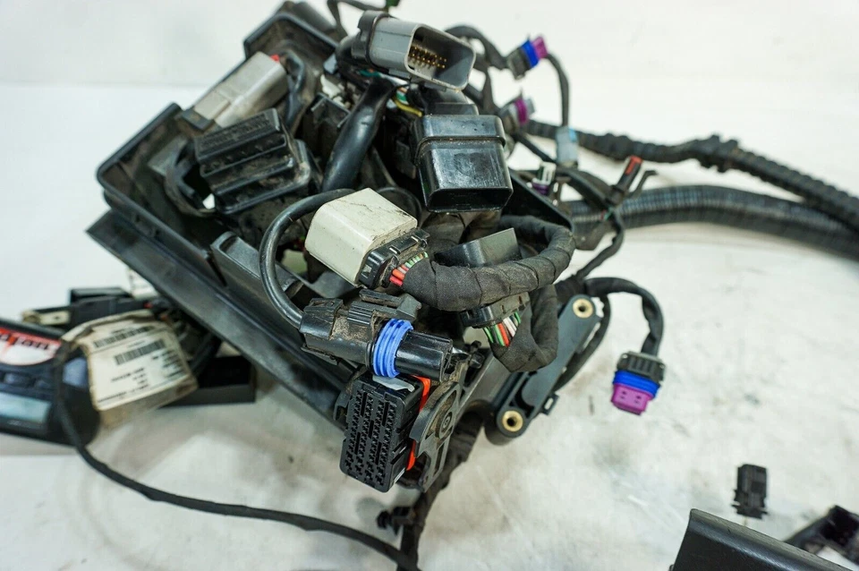 12 Harley Dyna Super Glide Custom FXDC OEM cableado principal arnés telar sin abs 1229 Foto 2 de 4