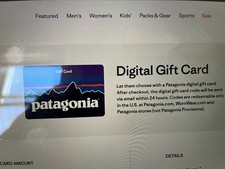 Patagonia STORE CREDIT $185.85 MSG GIFT CARD ONLINE/STORE