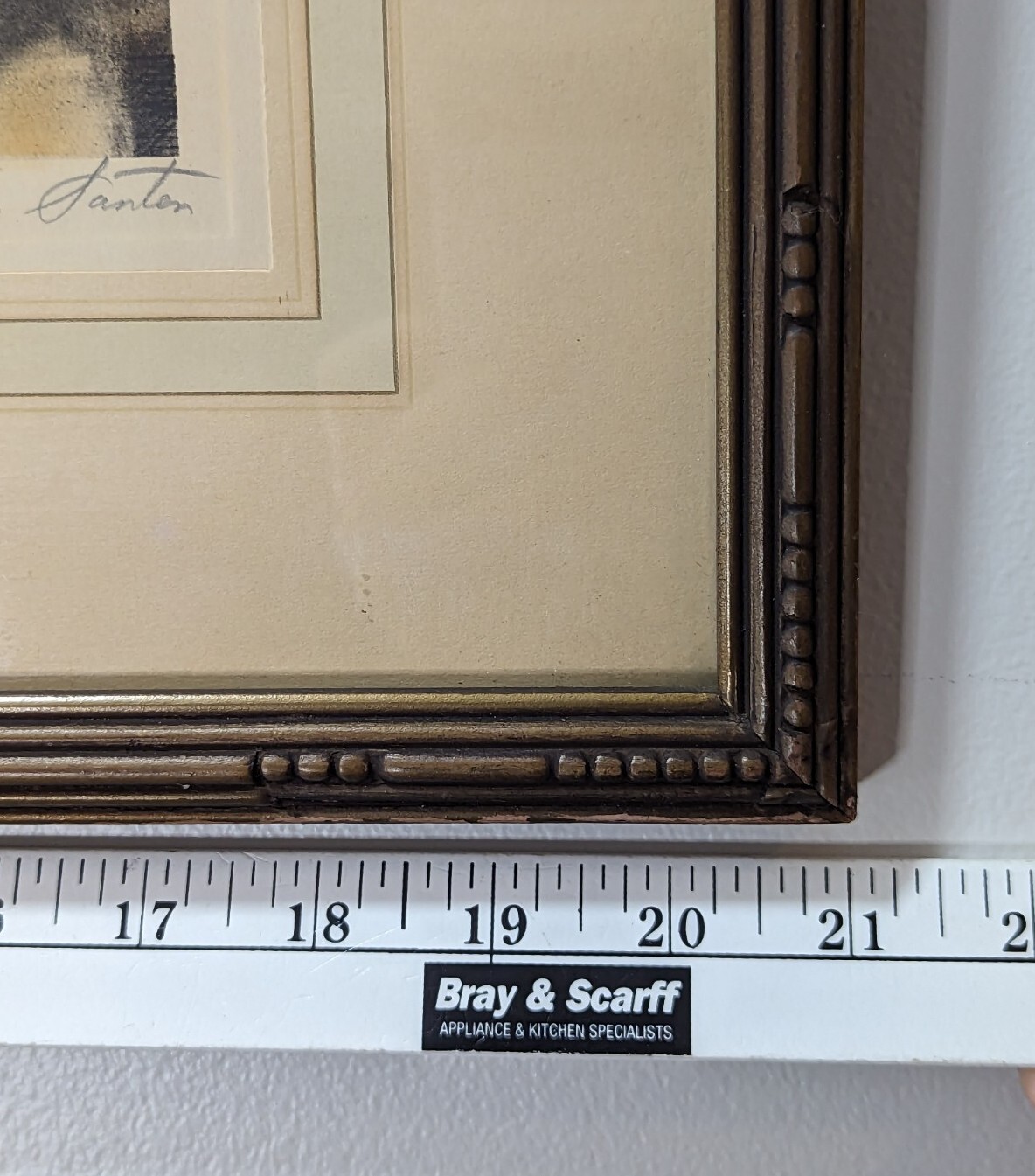 Picture 5 of 8