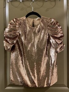 ulla johnson sequin top