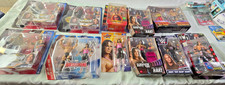 WWE WWF Bret Hart figures and memorabilia  LOT  of  11