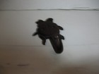 Picture 1 of 9