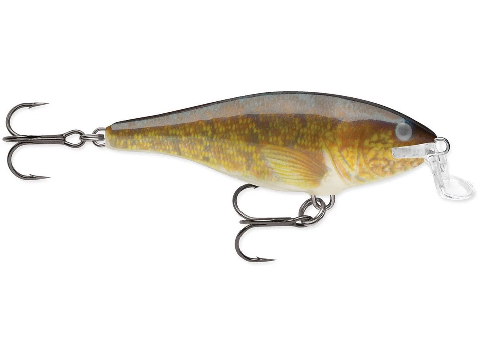 Esca galleggiante Rapala Shallow Shad Rap 7 cm 7 g wobbler NUOVI COLORI 2025