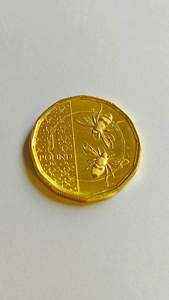Moneda de 1£ 2023 abejas rey Carlos III - chapada en oro 24K - coleccionable sin circular Foto 2 de 4