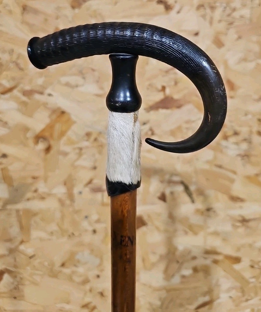 Antique Swiss Alpine Hiking/Walking Stick Goat Horn & Hoof Handle — image 3
