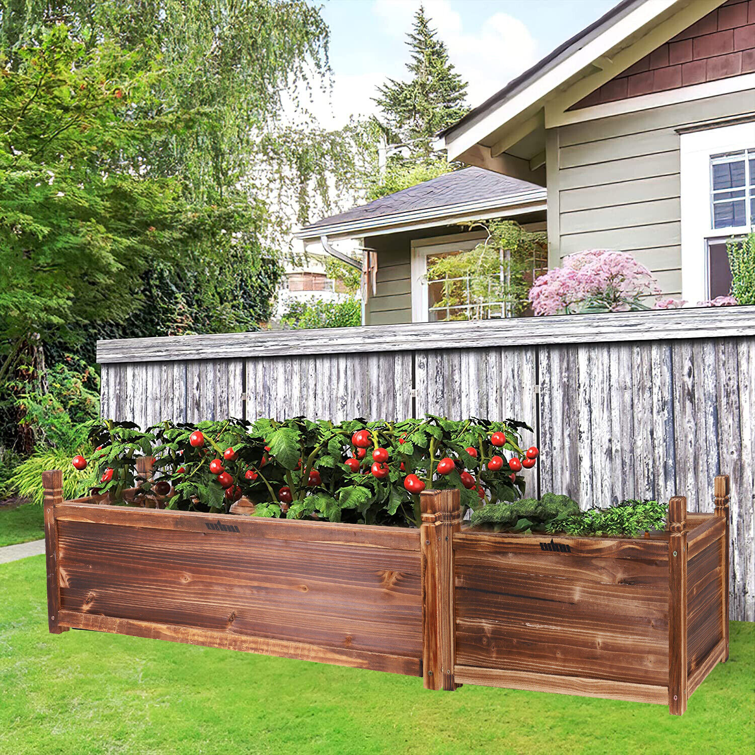 Long Planter Box Raised Garden Bed Large Elevated Planters Flowers Tomato  Herbs | Ebay