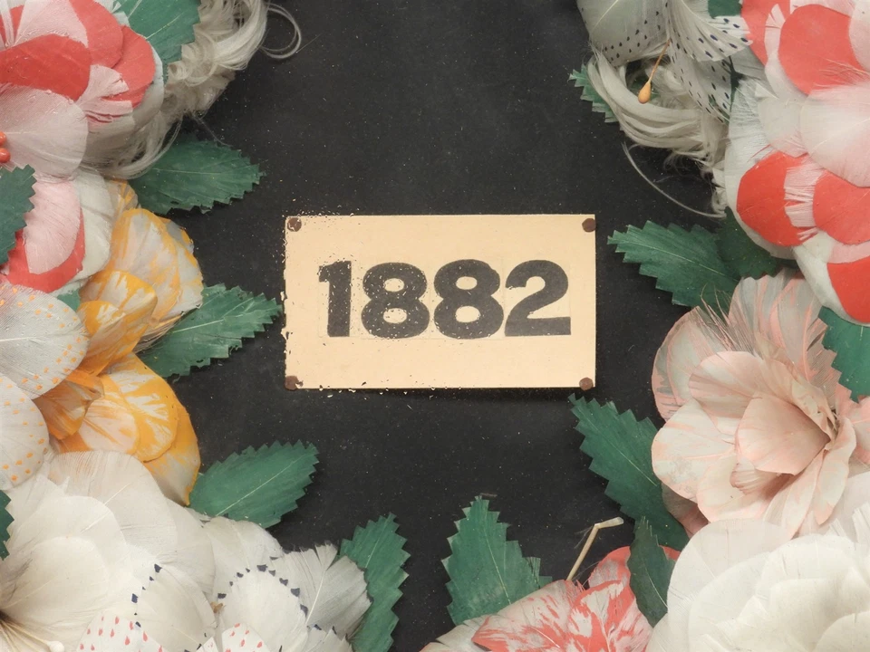 BOM! Grinalda de penas corte arte popular datada de 1882 em moldura de caixa de sombra de nogueira vitoriana - Imagem 3 de 4