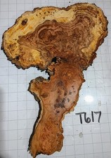 T617 Cherry Burl Live Edge Raw Tree Slice Cookie, Birds Eye Flamed