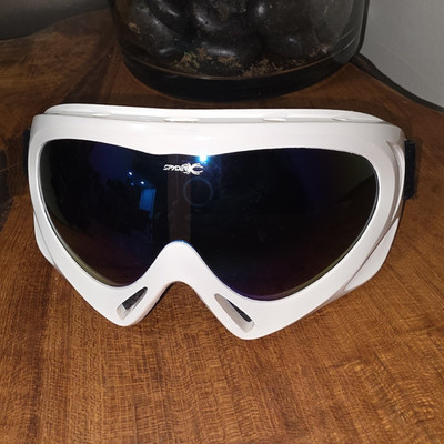 Spyder Ski Goggles with Blue Lens
