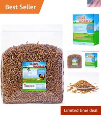 100 Natural Black Soldier Fly Larvae Treat for Chickens - 5lb All Life Stages 