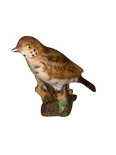 Porcelain Bird Figurine- Mistle Thrush Bisque Finished H8cm vgc