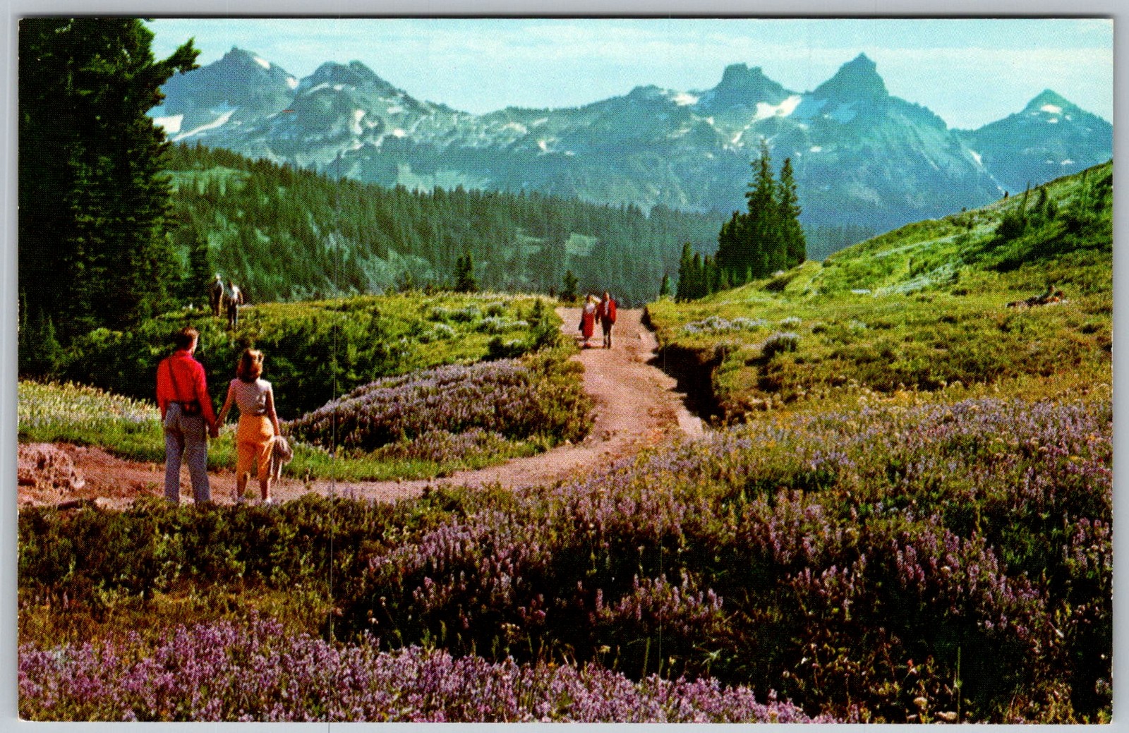 Vtg Postcard Paradise Inn Trails Mount Rainier National Park, WA 1950s