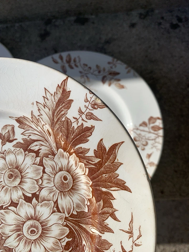 10 assiettes anciennes terre de fer Modèle Marguerite - Photo 3/4