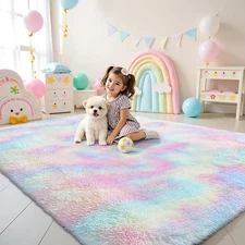 Machine Washable Rainbow Shag Area Rug 4x59 Feet