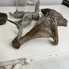 Picture 2 of 6