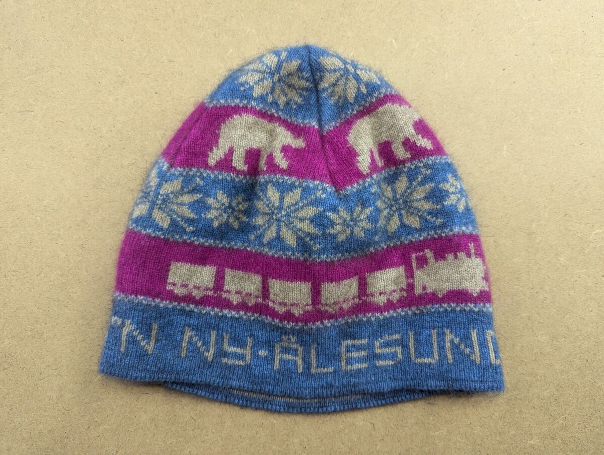 Arctic Edge Svalbard Beanie ZQ Merino Wool Silk Hat New