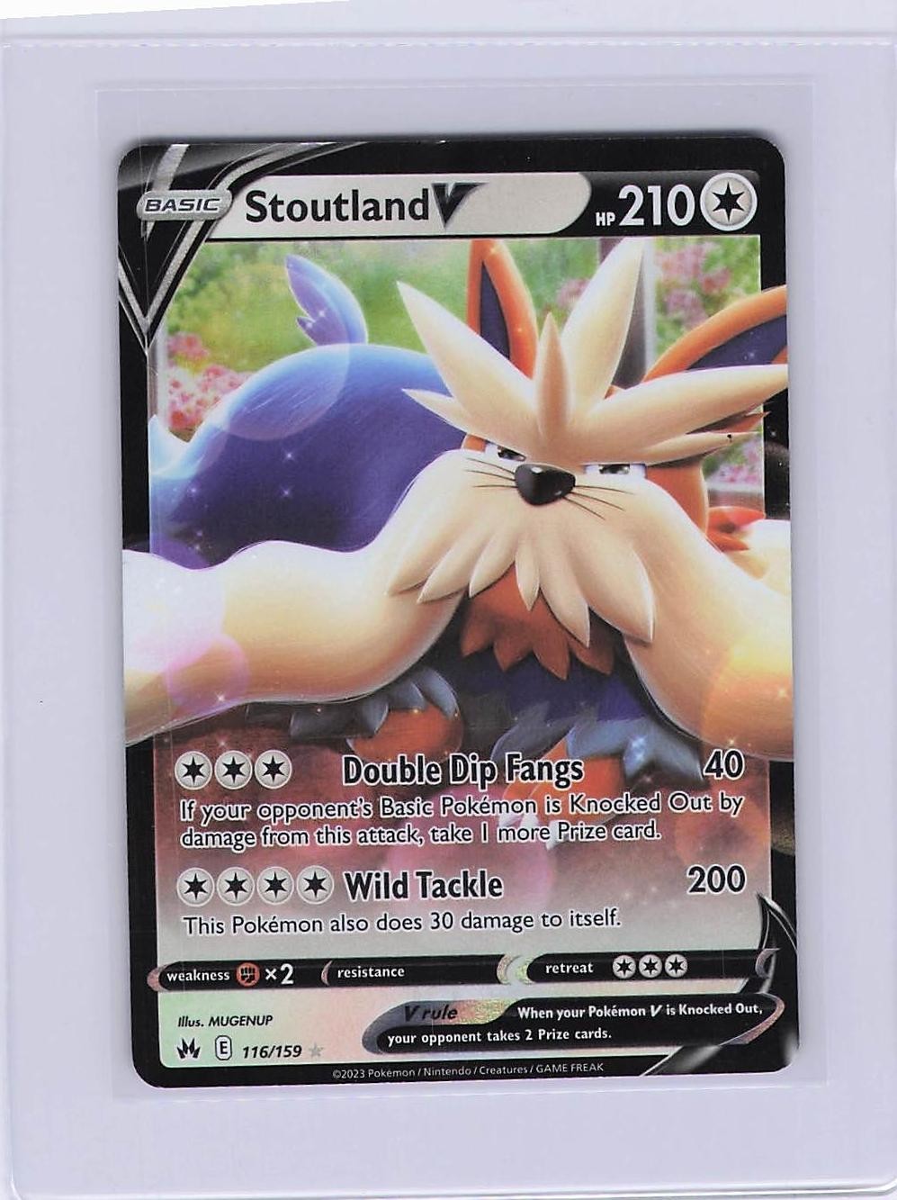 Stoutland V 116/159 Crown Zenith Pokemon Card Ultra Rare Near Mint