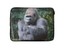 Animal-Laptop-Tablet-Sleeve-Case-Bag-CUSTOM-Personalised-Universal-Cover-14-034-15-034 thumbnail 13