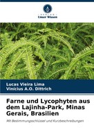 Farne Und Lycophyten Aus Dem Lajinha-Park, Minas Gerais, Brasilien Lima (U. A.)
