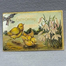 Easter Chicks and Snowdrop Flowers Embossed Greetings c1900s POSTCARD