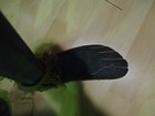 Bild 18 von 19