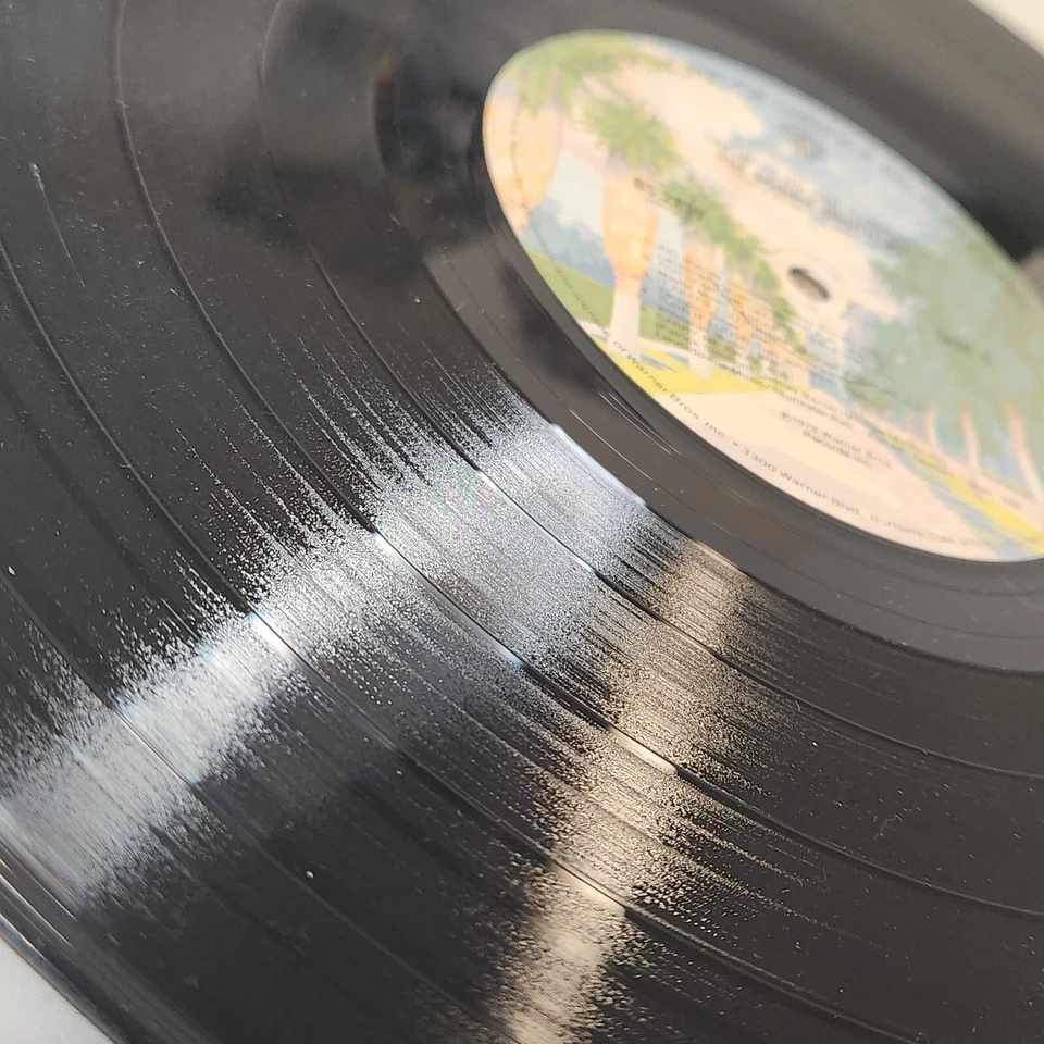 Doobie Brothers Takin' It To The Streets Gatefold 1976 BS 2899 Vinyl 12'' Warner - Image 4 of 4