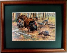 WILD TURKEY PICTURE HUNTING SPRING STRUT CYNTHIS FISHER MATTED FRAMED 16X12