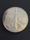 2022 Silver Eagle With Toning
