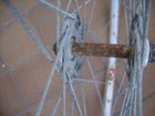 Bild 6 von 8